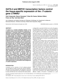 GATA-4 and MEF2C transcription factors control