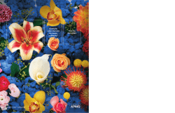 Looking for a place that sees the beauty in diversity?