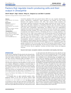 Factors that regulate insulin producing cells and their output in