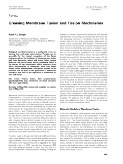 Greasing Membrane Fusion and Fission Machineries