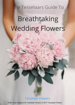 The Tesselaars Guide To