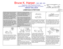 Lower Back Stretches - Bruce Harper &ndash; Auckland Osteopath