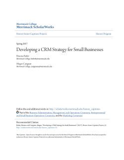 Developing a CRM Strategy for Small Businesses