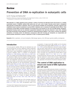 Prevention of DNA re-replication in eukaryotic cells