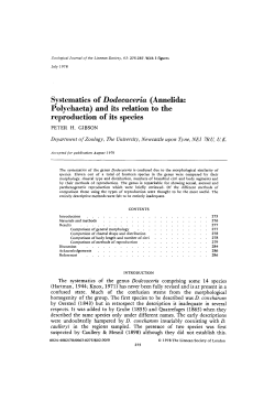 Systematics of Dodecaceria (Annelida: Polychaeta) and its relation