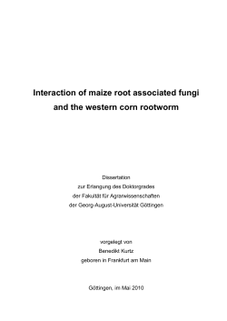 Interaction of maize root associated fungi and the western