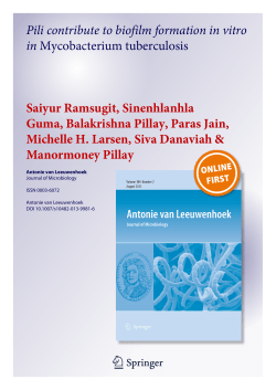 Pili contribute to biofilm formation in vitro in Mycobacterium