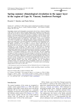 Spring&ndash;summer climatological circulation in the upper layer in the