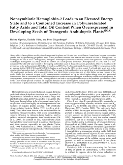Nonsymbiotic Hemoglobin-2