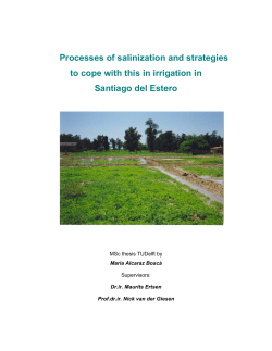 Processes of salinization and strategies to cope with this in irrigation