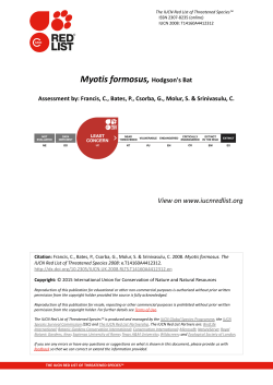 Myotis formosus, Hodgson`s Bat