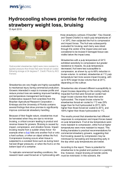 Hydrocooling shows promise for reducing strawberry weight loss