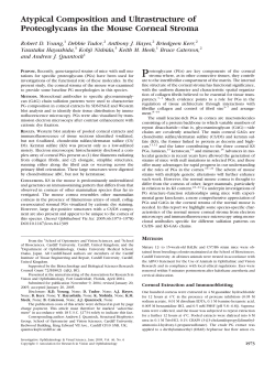 Atypical Composition and Ultrastructure of Proteoglycans in