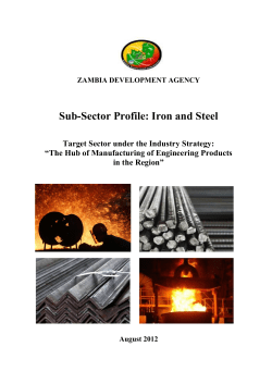 Iron and Steel Sub Sector Profile