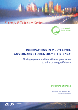 Innovations in Multi-Level Governance for Energy Efficiency