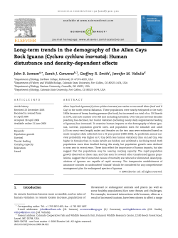 Long-term trends in the demography of the Allen Cays Rock Iguana