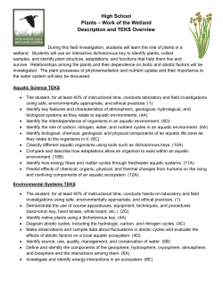 Plants - Work Horse of the Wetland