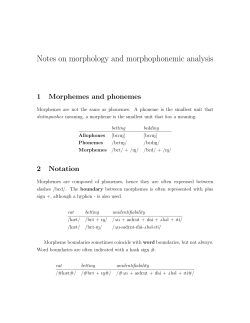 Notes on morphology and morphophonemic analysis