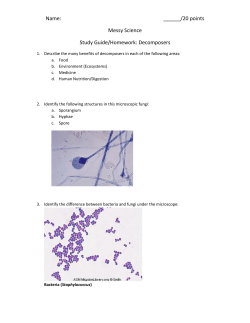 20 points Messy Science Study Guide/Homework: Decomposers