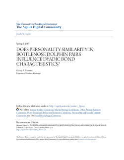 does personality similarity in bottlenose dolphin pairs influence