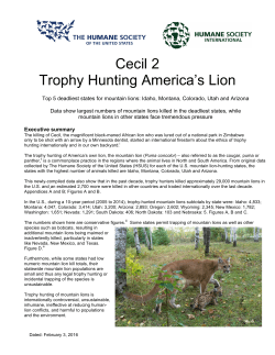 Cecil 2 Trophy Hunting America`s Lion