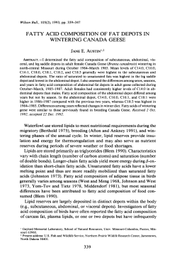 fatty acid composition of fat depots in wintering canada geese