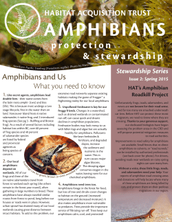 Amphibians - Habitat Acquisition Trust