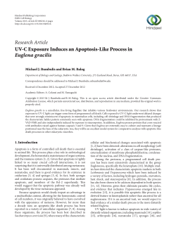 UV-C Exposure Induces an Apoptosis