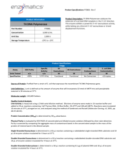 T4 DNA Polymerase