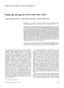 Female age and egg size in the Lesser Snow Goose