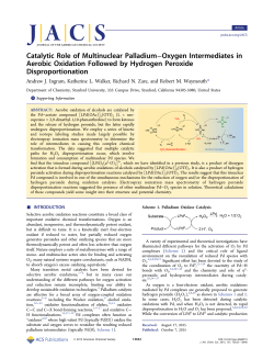 Catalytic Role of Multinuclear Palladium-Oxygen