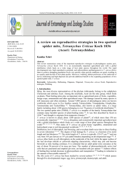A review on reproductive strategies in two spotted spider mite