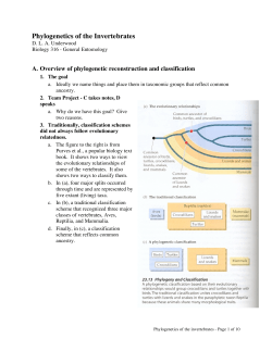 Phylogenetics of the Invertebrates