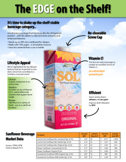 SoL Sunflower Beverage