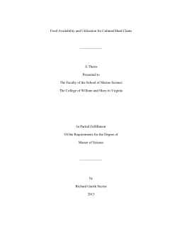 Food Availability and Utilization for Cultured Hard Clams