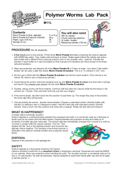 Polymer Worms Lab Pack - Prof Bunsen`s Science