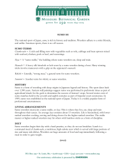 Sumo fact sheet