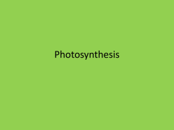 Photosynthesis
