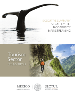 Tourism Sector