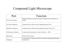 Compound Light Microscope