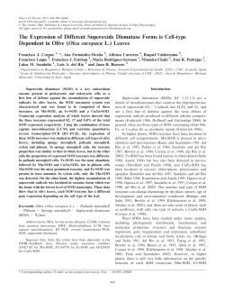 PDF - Oxford Academic - Oxford University Press