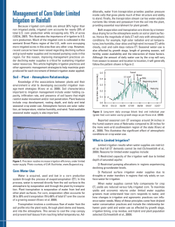 Management of Corn Under Limited Irrigation or Rainfall