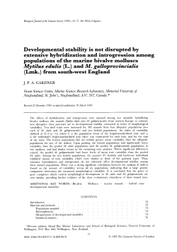 Developmental stability is not disrupted by extensive hybridization