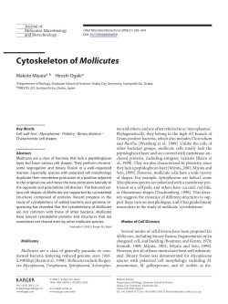 Cytoskeleton of Mollicutes