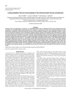 tail loss and jumping in the arboreal lizard Anolis carolinensis