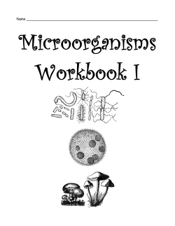 Microorganisms Workbook I