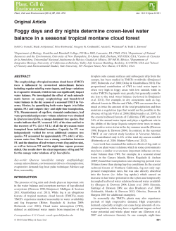Foggy days and dry nights determine crownlevel water