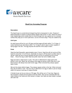 Head lice screening program