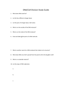 DNA/Cell Division Study Guide