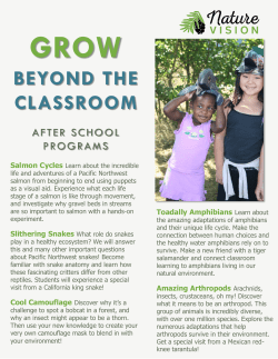 After School Programs